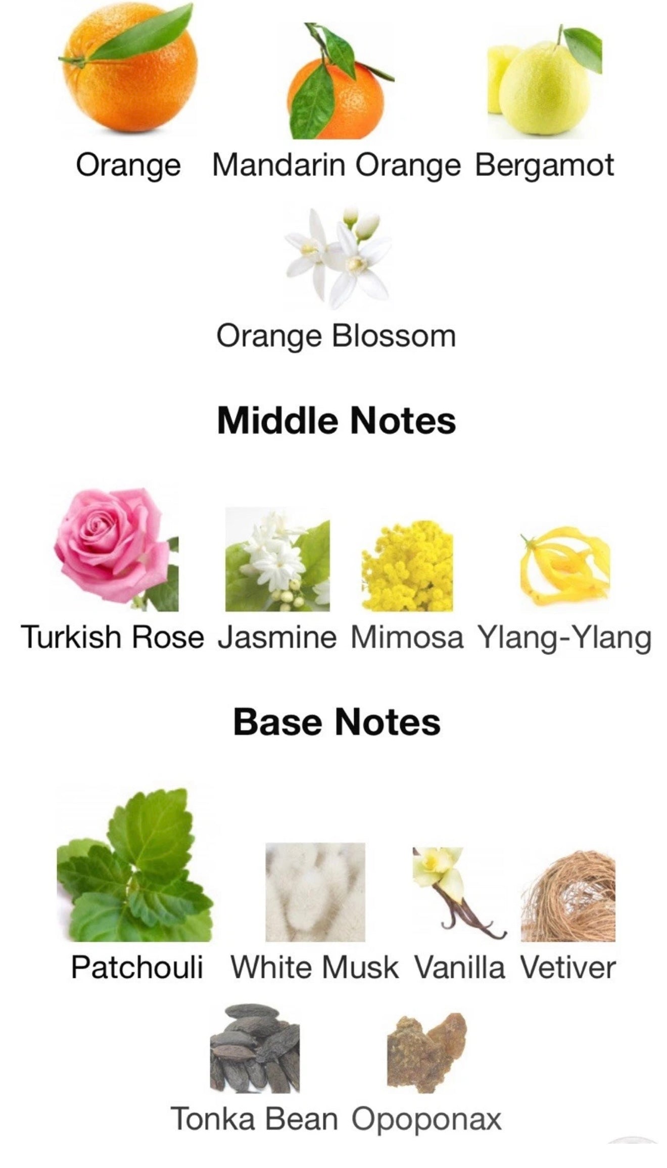 Madam Moiselle by Milestone, 3.4oz EDP