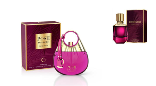 Posh In Paradise by Camara 3.4 oz EAU De Parfum